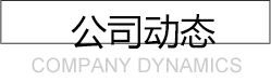 公司动态